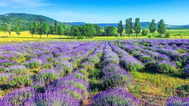 Privát, saját fürdős, erkélyes szoba a Balatonon Kőröshegy Extérieur photo